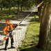 Аккумуляторный высоторез Stihl HTA 85 SET (AP100, AL101)